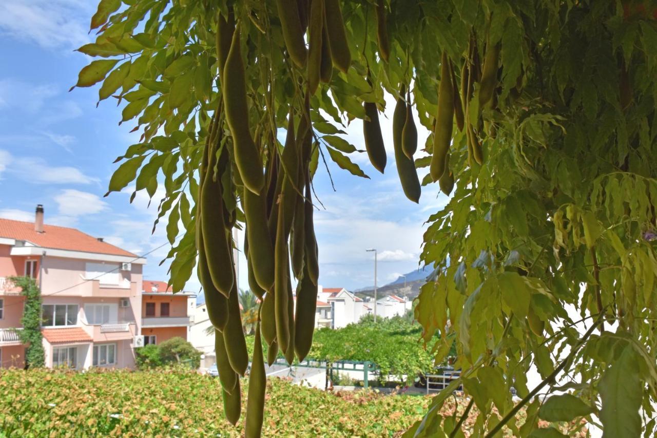 Apartments Stone Tucepi Ngoại thất bức ảnh